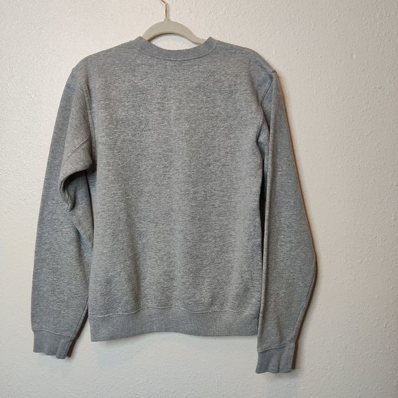 Ivysport Princeton University Gray Graphic Long Sleeve Shirt Size Small - Picture 2 of 6